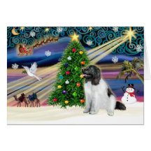 Jul magiska Newfoundland (Landseer) Kort