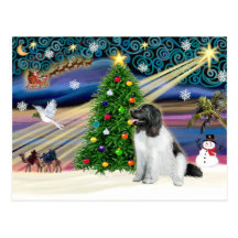 Jul magiska Newfoundland (Landseer) Vykort