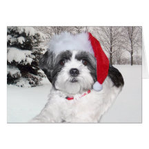 Jul Shih Tzu Hälsnings Kort