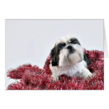 Jul Shih Tzu Hälsnings Kort