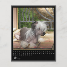 juli 2012 kalender flyg blad