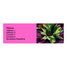 juli namn, adress 1, adress 2, kontakt 1, Co… Visit Kort