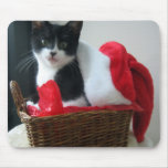 Julkatt Mousepad Musmattor