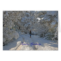 Julkortsnöplats