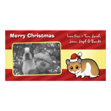JulsyrianHamster Fotokort