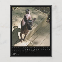 juni 2012 kalender personliga flygblad