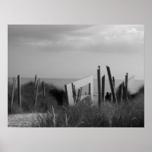 Juno strand print