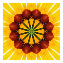 Kaleidoscope - Svart-Synade Susan Fotografi