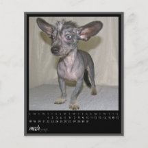 kalender för marsch 2012 personliga flygblad