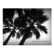 Kalifornien Dreamin palmträdvykort