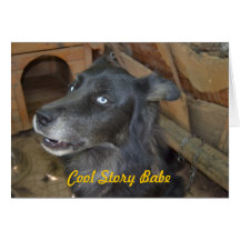 Kall berättelseBabe Hälsnings Kort