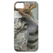 Kall enfaldig padda iPhone 5 cover
