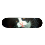 kall hic partyman skate board