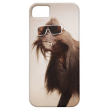 Kalla djur i sunglasses. iPhone 5 Case-Mate skal