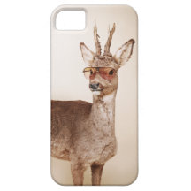 Kalla djur i sunglasses. iPhone 5 hud
