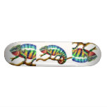 Kameleontskateboarden