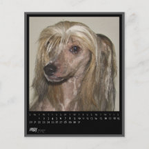 kan kalender 2012 custom flyer