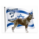Kanaan hund av Israel Vykort