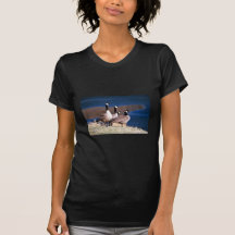 Kanada gäss tee