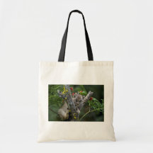 Kanada Lodjur-liten kattunge Tote Bag