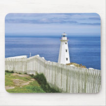Kanada Newfoundland, uddspjutmedborgare 2 Mus Matta
