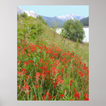 Kanadensiska Rockies Posters