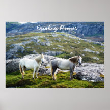 Kanfas - Eriskay ponnyer Posters
