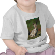 Kanin Tee Shirt