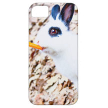 Kaniniphone case iPhone 5 cover
