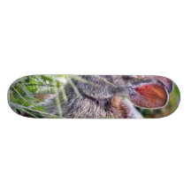 Kaninkaninkaniner Skateboard Deck