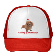Kappe "Dackel" Weihnachten