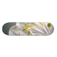 Kaprifolblommablom Skate Board Decks