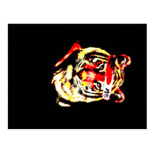 Karatetiger Vykort