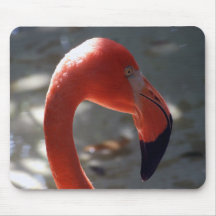 Karibisk Flamingo Musmattor