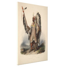 Karl Bodmer - A Mandan chief Gallery Wrapped Canvas