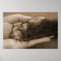 Kärlek är ovillkorlig posters