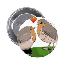 Kärlek för Robin redbreastfågel Nål