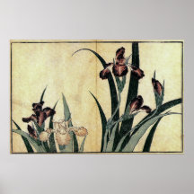 Katsushika Hokusais Irises Affischer