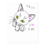 KATT (12-2) VYKORT