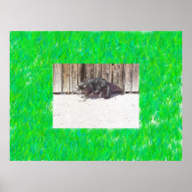 Katt Print