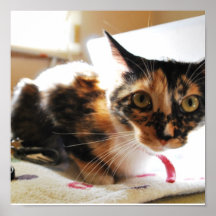 Katt Print