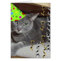 Katt för partydjurgrått hälsnings kort
