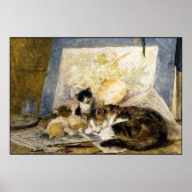 Katt & kattungekonstaffisch