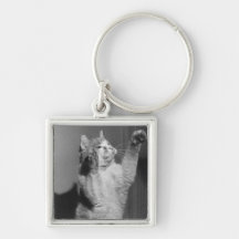 Katt med lyftta tassar (B&W) Nyckel Ringar