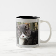 Katt mugg på en mugg