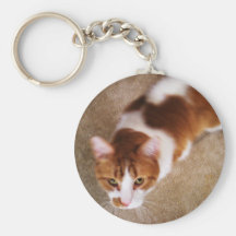 Katt Nyckel Ring