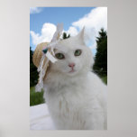Katt och hatten affischer