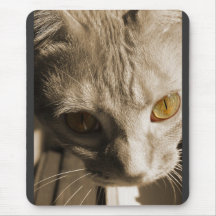 Katt ögon musmattor