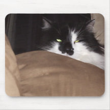 katt på mus mus matta