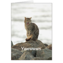 Katt på stenhälsningkortet